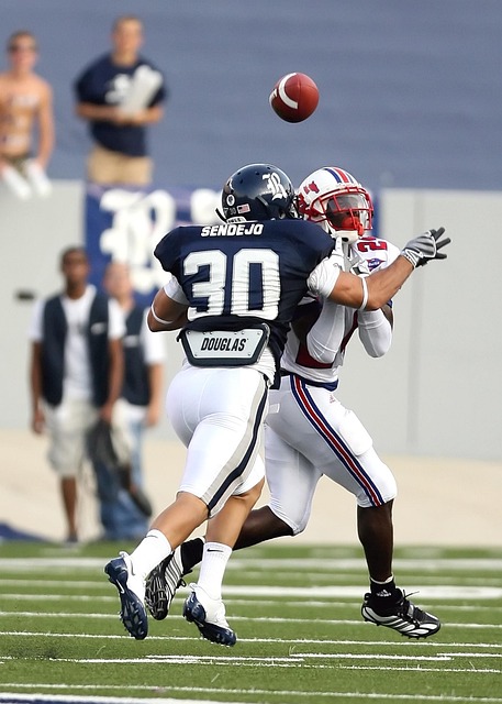 我们期待看 我们期待看