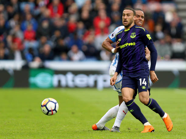 职业生涯 职业生涯